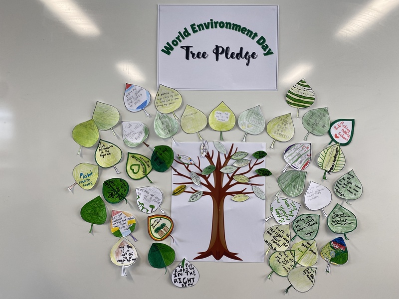Tree Pledge